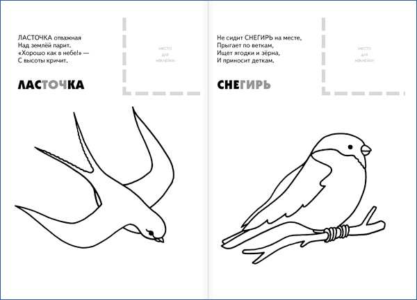 Раскраски Птицы для детей 3 4 лет (37 шт.) - скачать или распечатать бесплатно #
