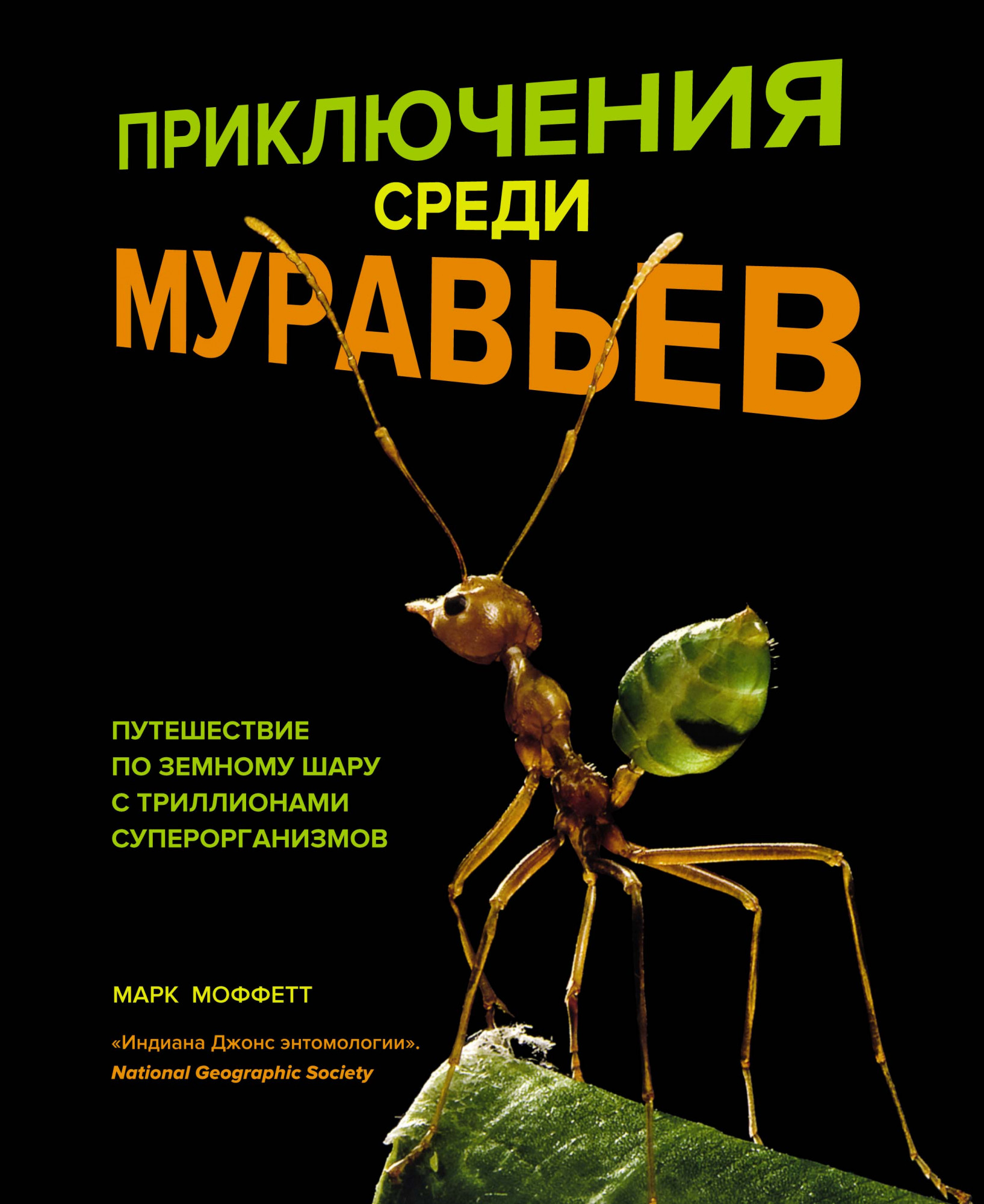 Приключения среди муравьев Путешествие по земному шару с триллионами суперорганизмов Моффетт