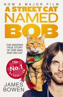 Street Cat Named Bob A (film tie-in) Bowen James