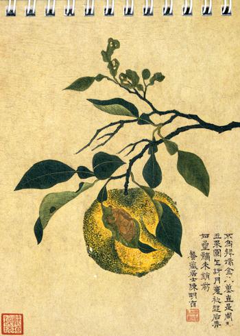 Желтый плод блокнот Арт 74-31-3