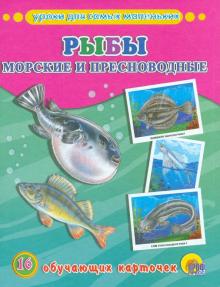 Рыбы Морские и пресноводные  Обучающие карточки Уроки для самых маленьких