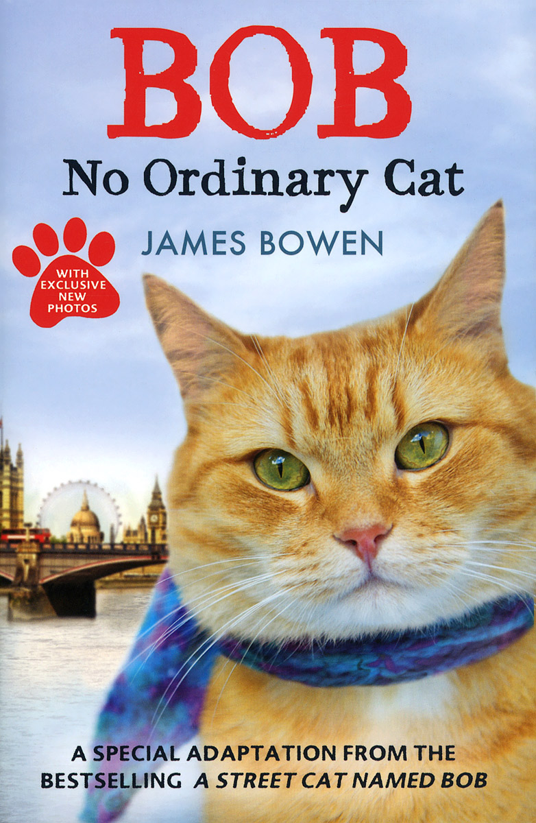 Bob No Ordinary Cat Bowen James