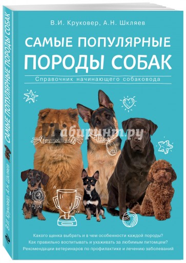 Самые популярные породы собак Все о домашних питомцах Круковер
