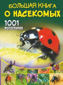 Большая книга о насекомых 1001 фотография Большая книга обо всем Спектор