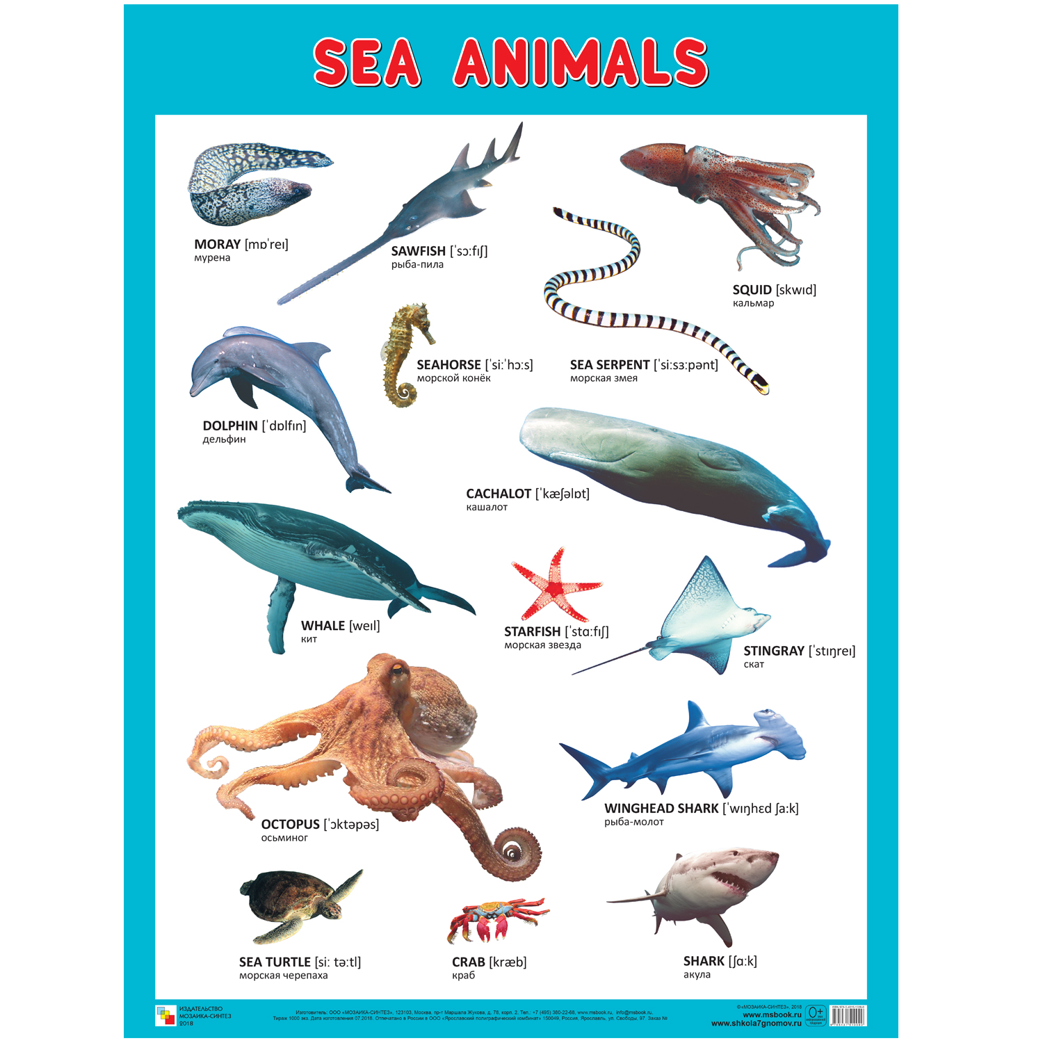 Плакаты (англ) Sea Animals Морские обитатели